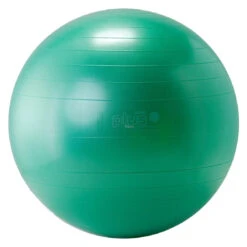 GYMNIC PLUS Sitzball Gymnastikball 55 Cm, Grün