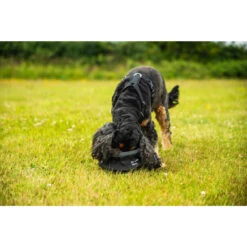 Mountain Paws Geschirr 'Harness', M