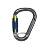 Salewa Karabiner 'Belay Twist Lock',